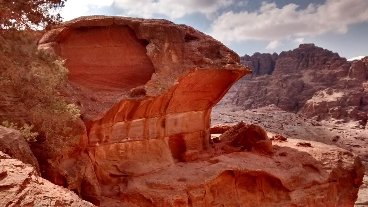 وادي موسى Petra Bedouin Bed And Breakfast المظهر الخارجي الصورة